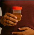 Kidney Health